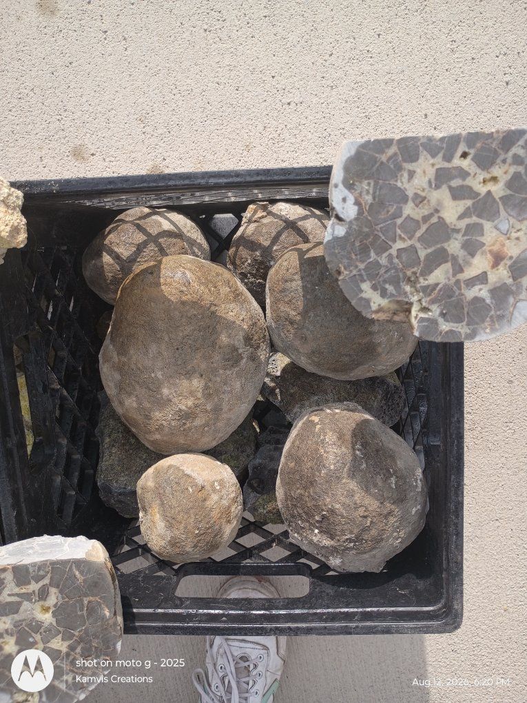 Main image 14