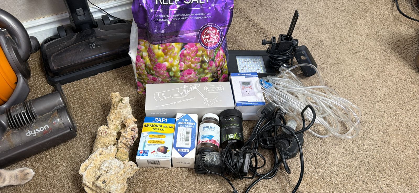 Saltwater fish supplies