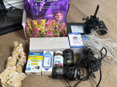 Saltwater fish supplies