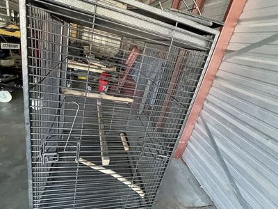 Birdcage