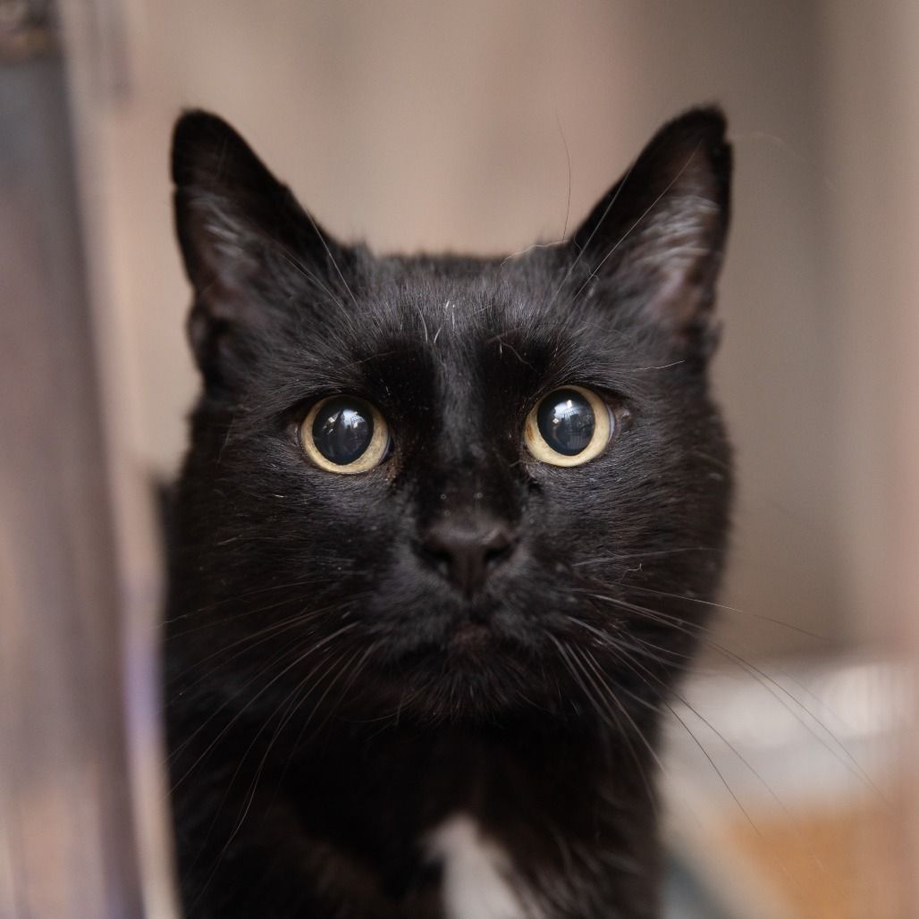 Hello my name is Rhys