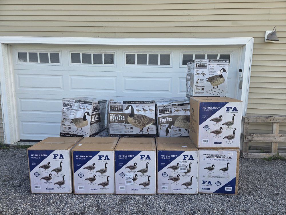 Goose Decoys and Layout Blinds