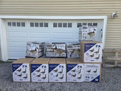 Goose Decoys and Layout Blinds