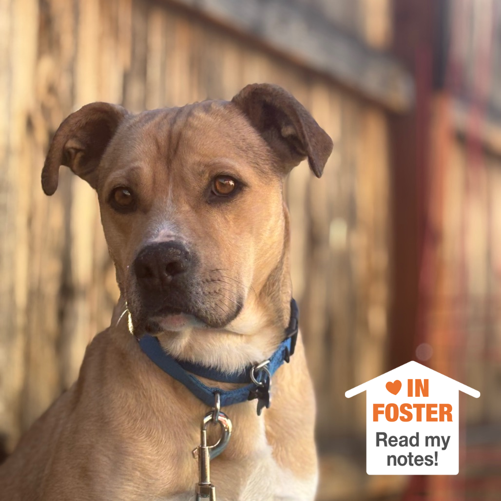 Hello my name is Zeus