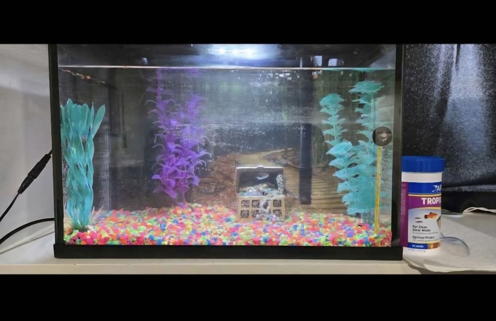 10 gallon fish tank PLEASE READ BEFORE MESSAGING.