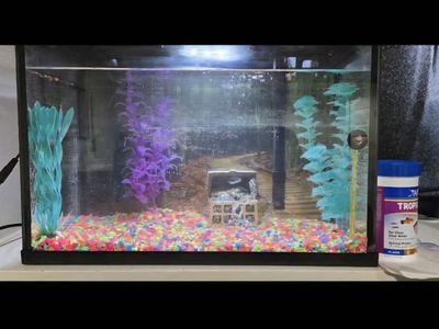 10 gallon fish tank PLEASE READ BEFORE MESSAGING.