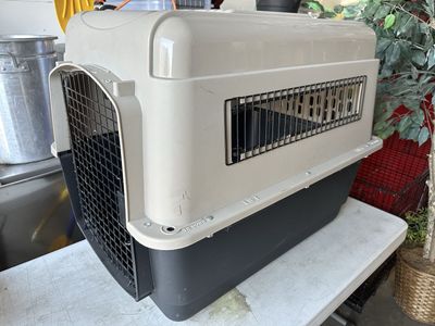 Petmate Medium Vari Dog Kennel Plastic Portable Travel Crate Airline Friendly Pet Carrier