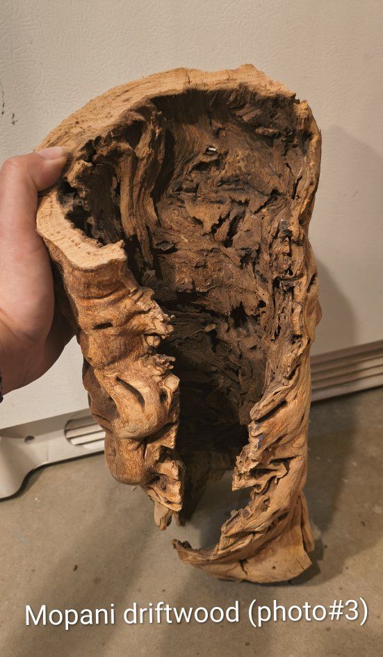 Main image 8