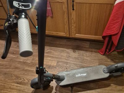 EgoKing Electric Scooter with LED Display and App Connectivity