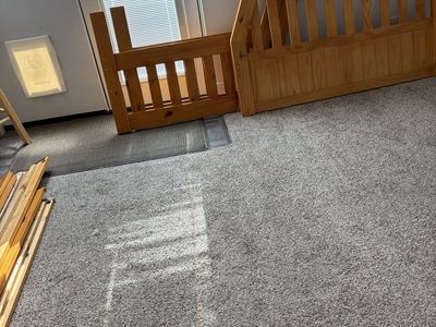 Free Bunkbed or full sized bed parts