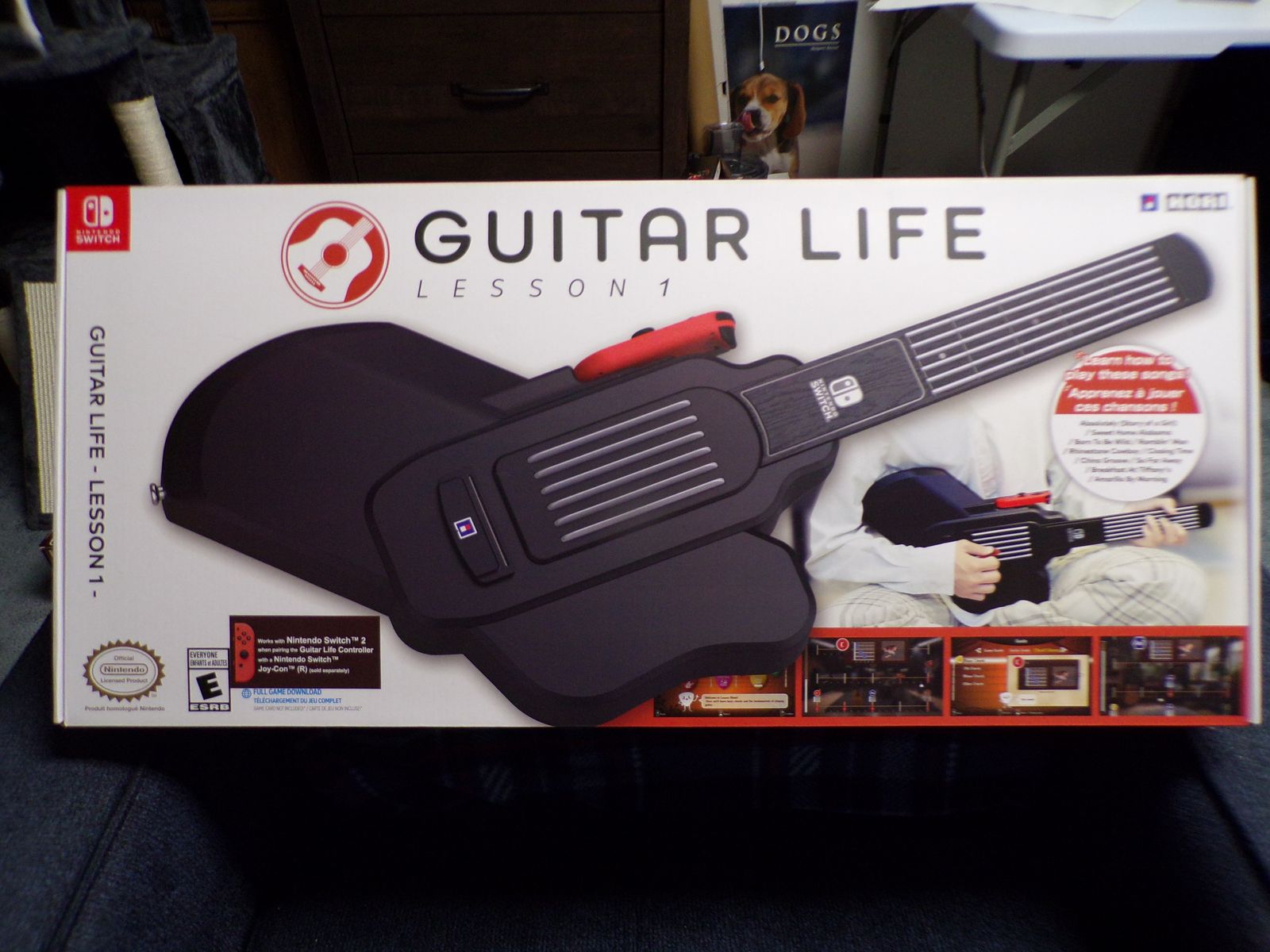 New Guitar Life :: For Nintendo Switch 1 Or 2