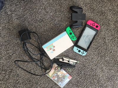 Nintendo switch animal crossing edition