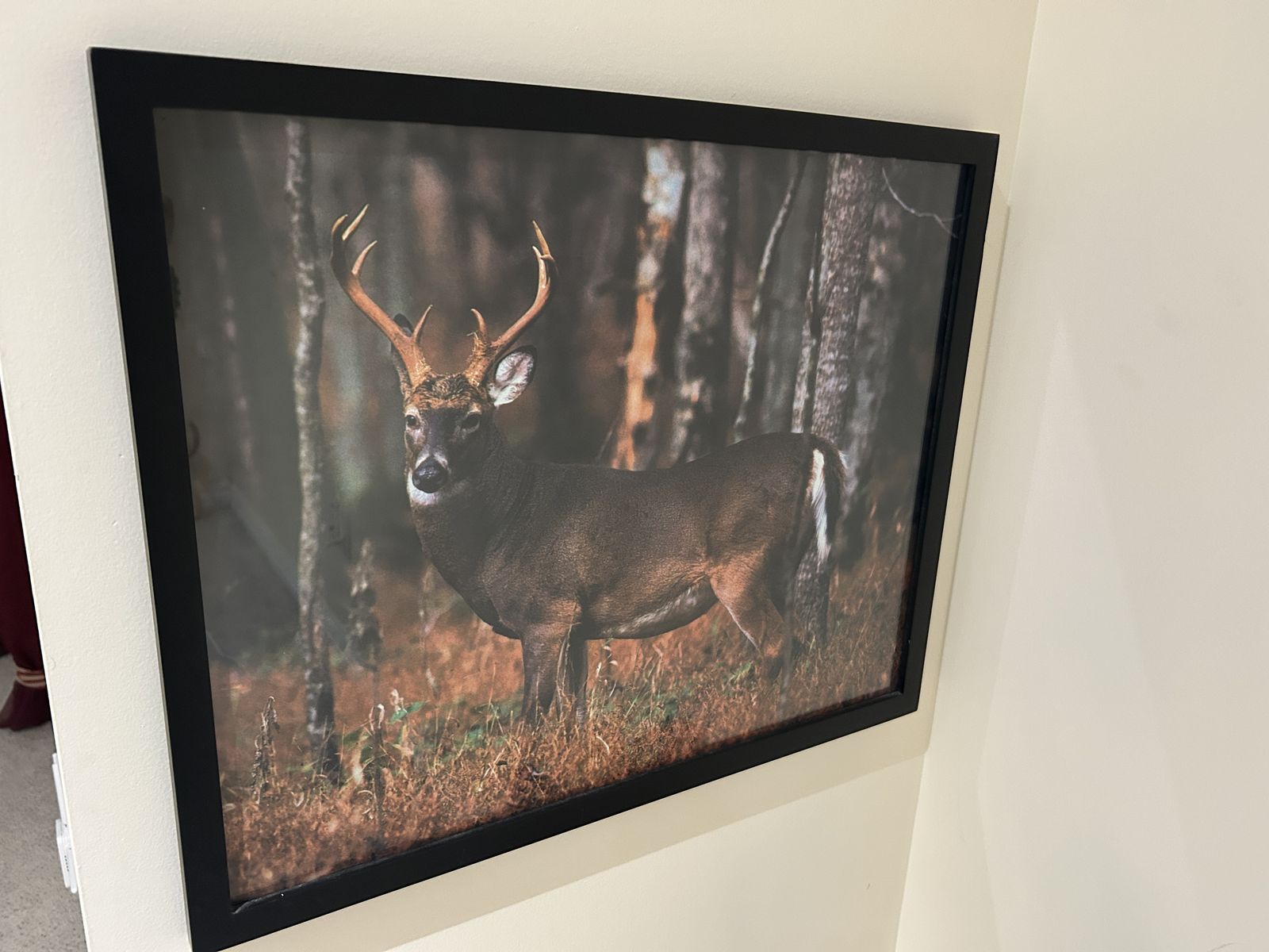 Very serene Deer artwork