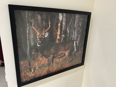 Very serene Deer artwork