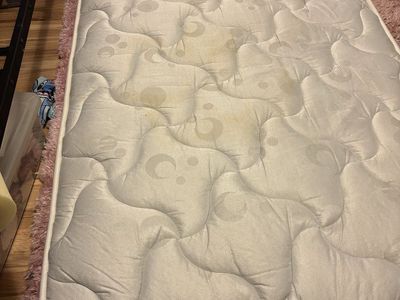 Free Youth Twin Mattress