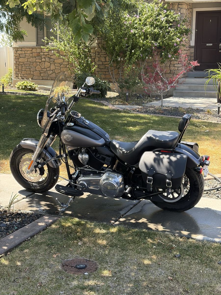 2016 Softail slim