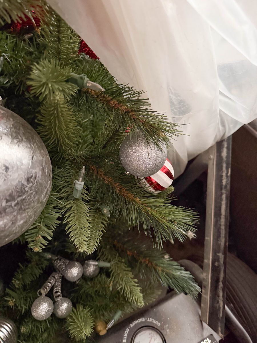 FREE Christmas Tree - About Seven Feet Tall