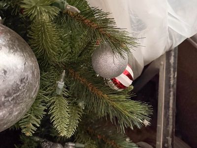 FREE Christmas Tree - About Seven Feet Tall