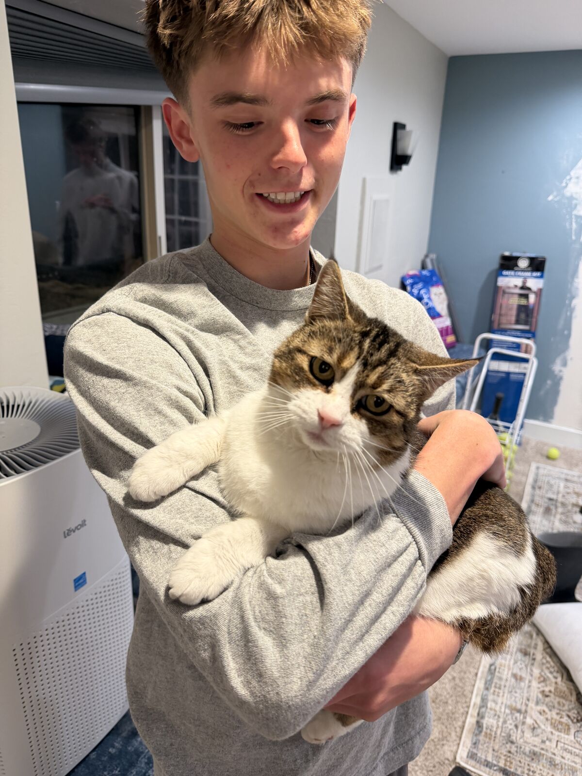 Loving kitty who needs a good home