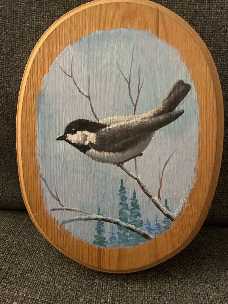 Chickadee Bird
