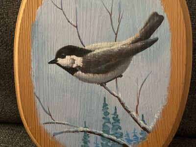 Chickadee Bird