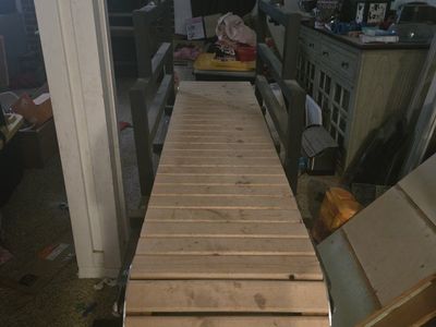 large dog treadmill