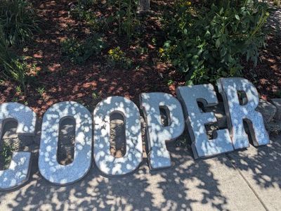 Large Galvanized Metal Letters – C, O, O, P, E, R