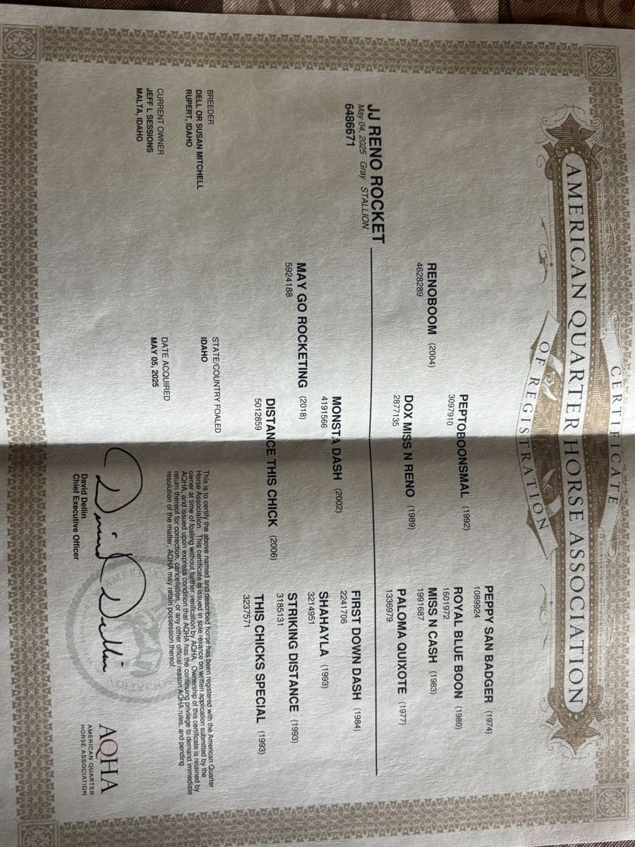 Main image 3