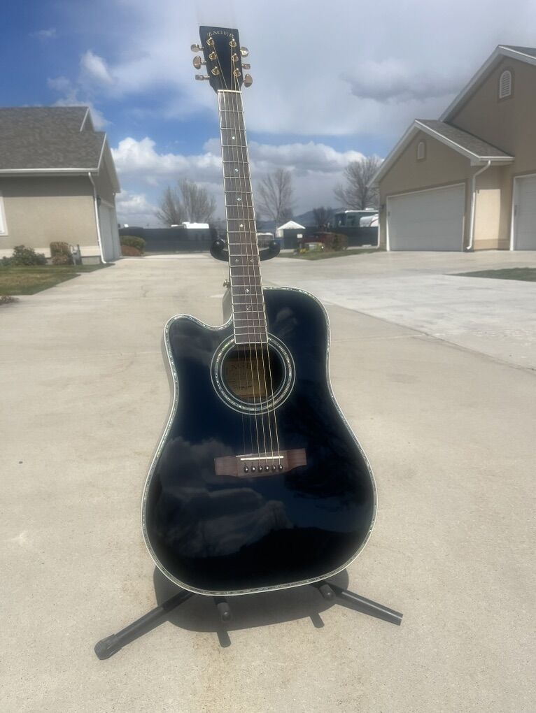 Zager Lefty Guitar