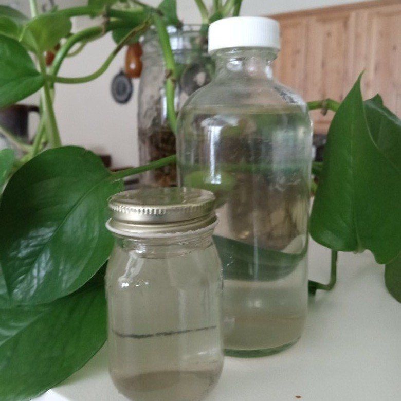 Rainwater collected Under Wolf Moon 26