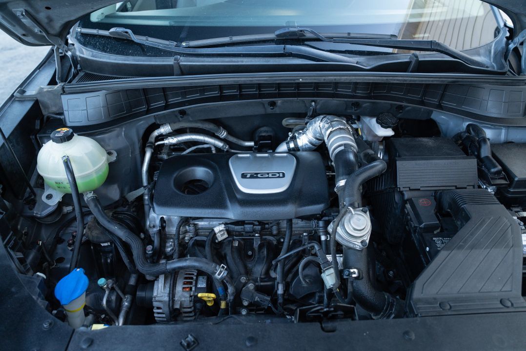 Main image 8