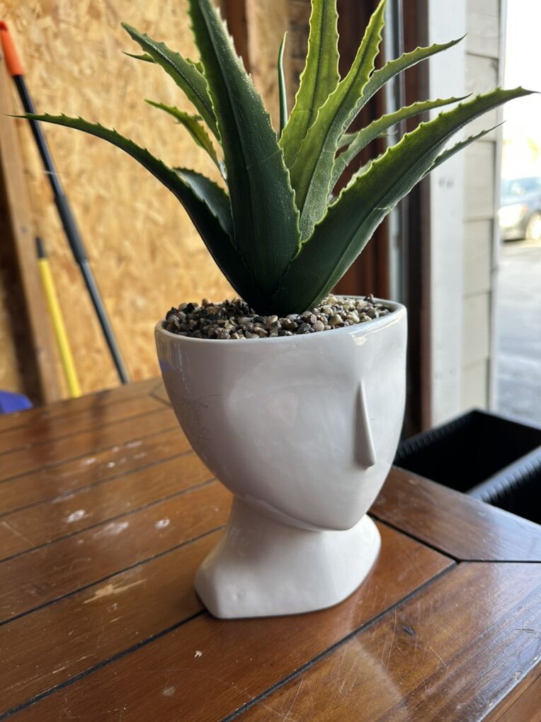 Head Shaped Modern Planter (fake Plant)