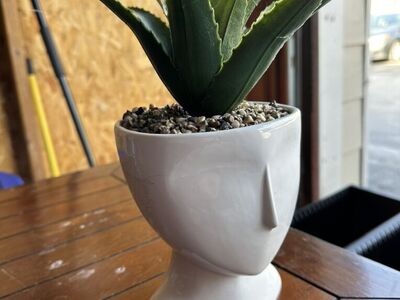 Head Shaped Modern Planter (fake Plant)