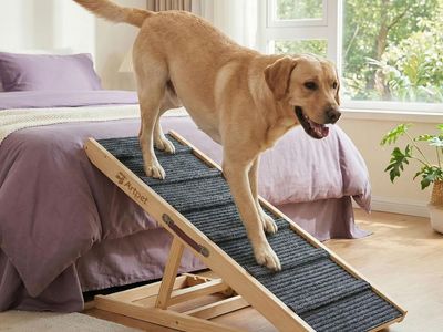 NEW Wide Dog Ramp for Bed Couch Folding Dog Ramps for Large Dogs Up to 200 lbs