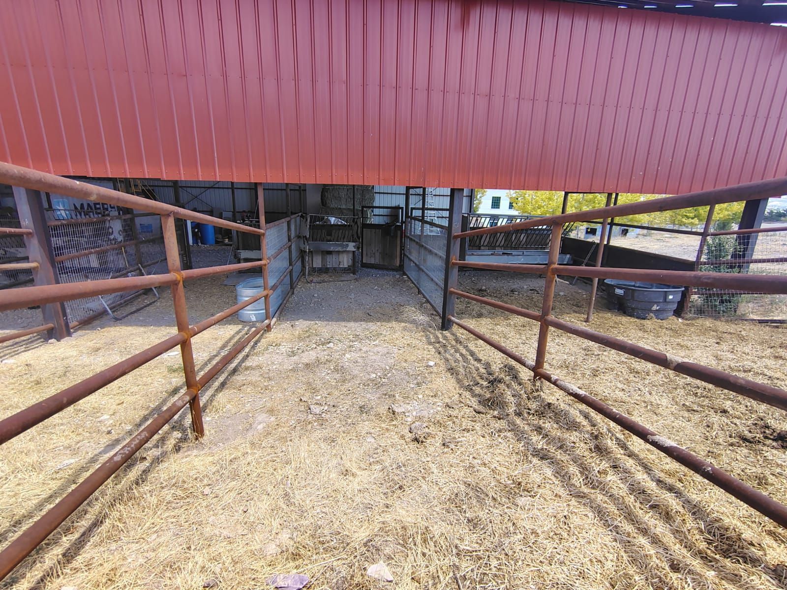 Main image 6