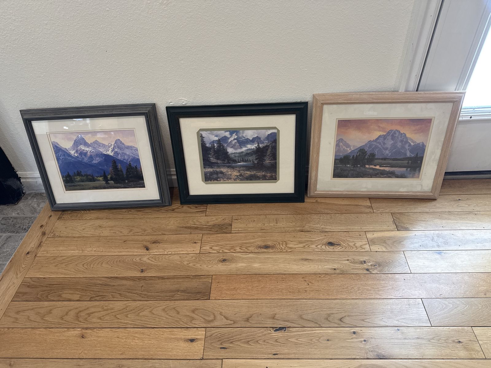 Teton watercolors framed art