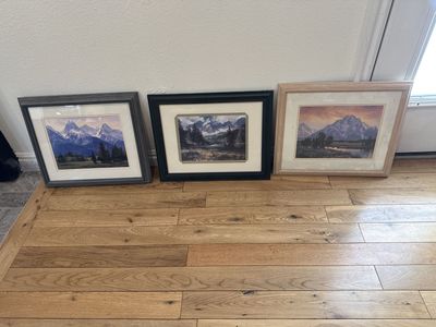 Teton watercolors framed art