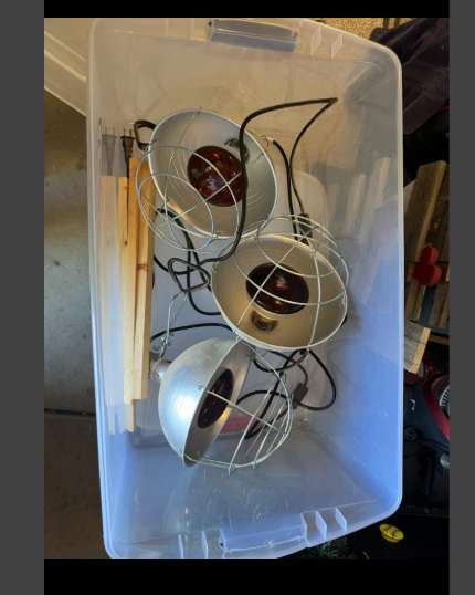 Heat Lamps