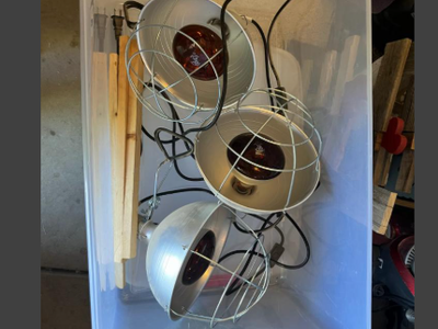 Heat Lamps