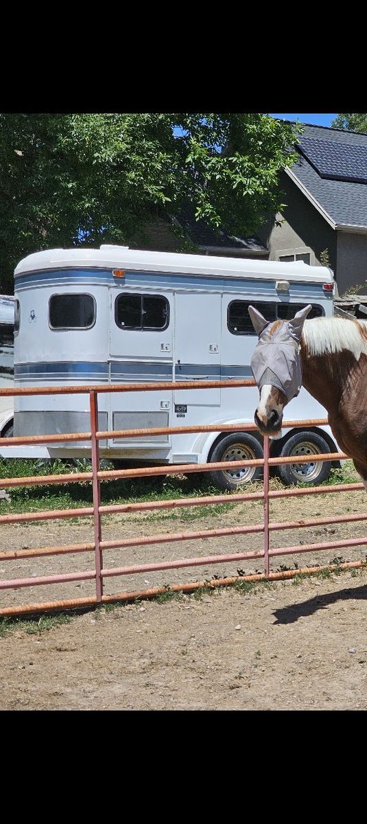 Used Logan Coach Bumper Pull 2-Horse Trailer, Good Condition, White & Blue