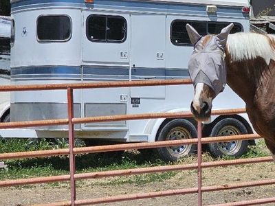 Used Logan Coach Bumper Pull 2-Horse Trailer, Good Condition, White & Blue