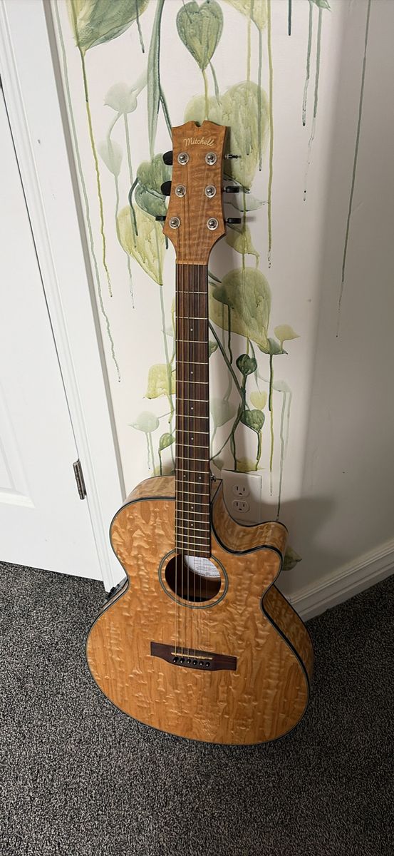 Acoustic Plug in Guitar