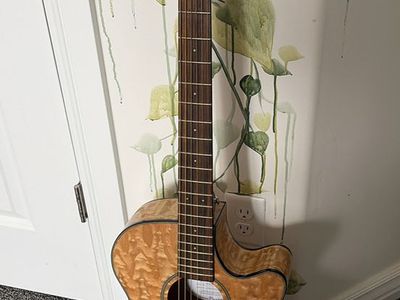 Acoustic Plug in Guitar