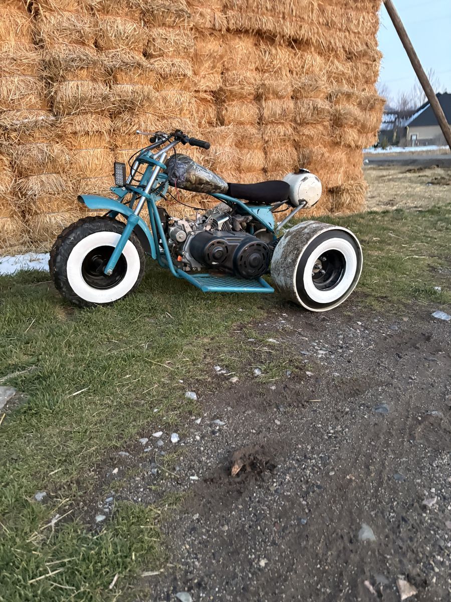 Custom Built Trike For Trade