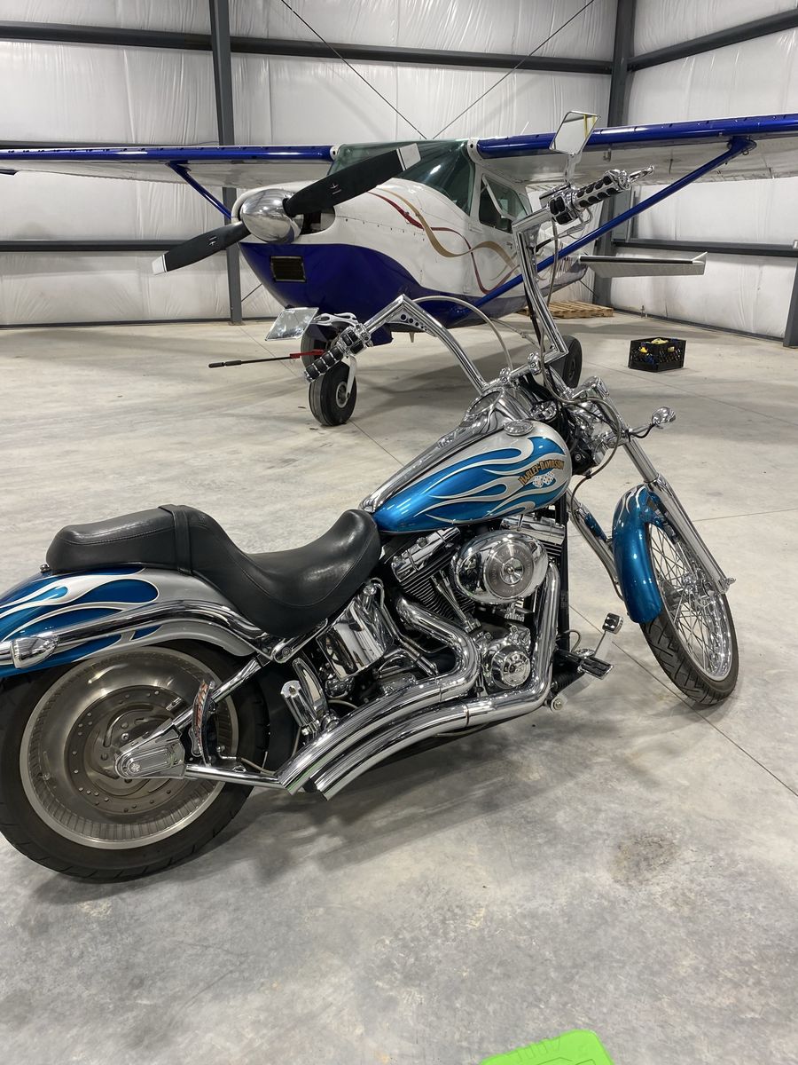 Trade For Well Bread Horse