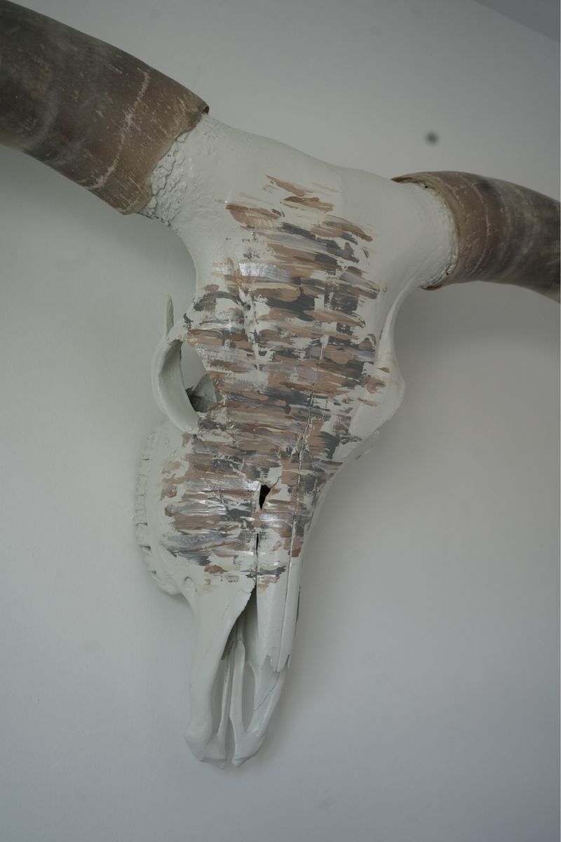 Main image 6
