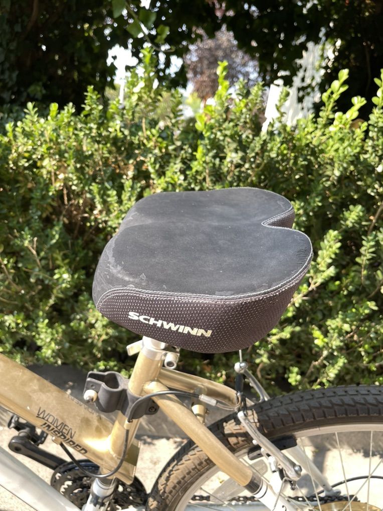 Schwinn Skyliner Bike