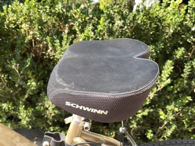 Schwinn Skyliner Bike
