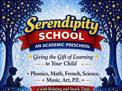 Serendipity School