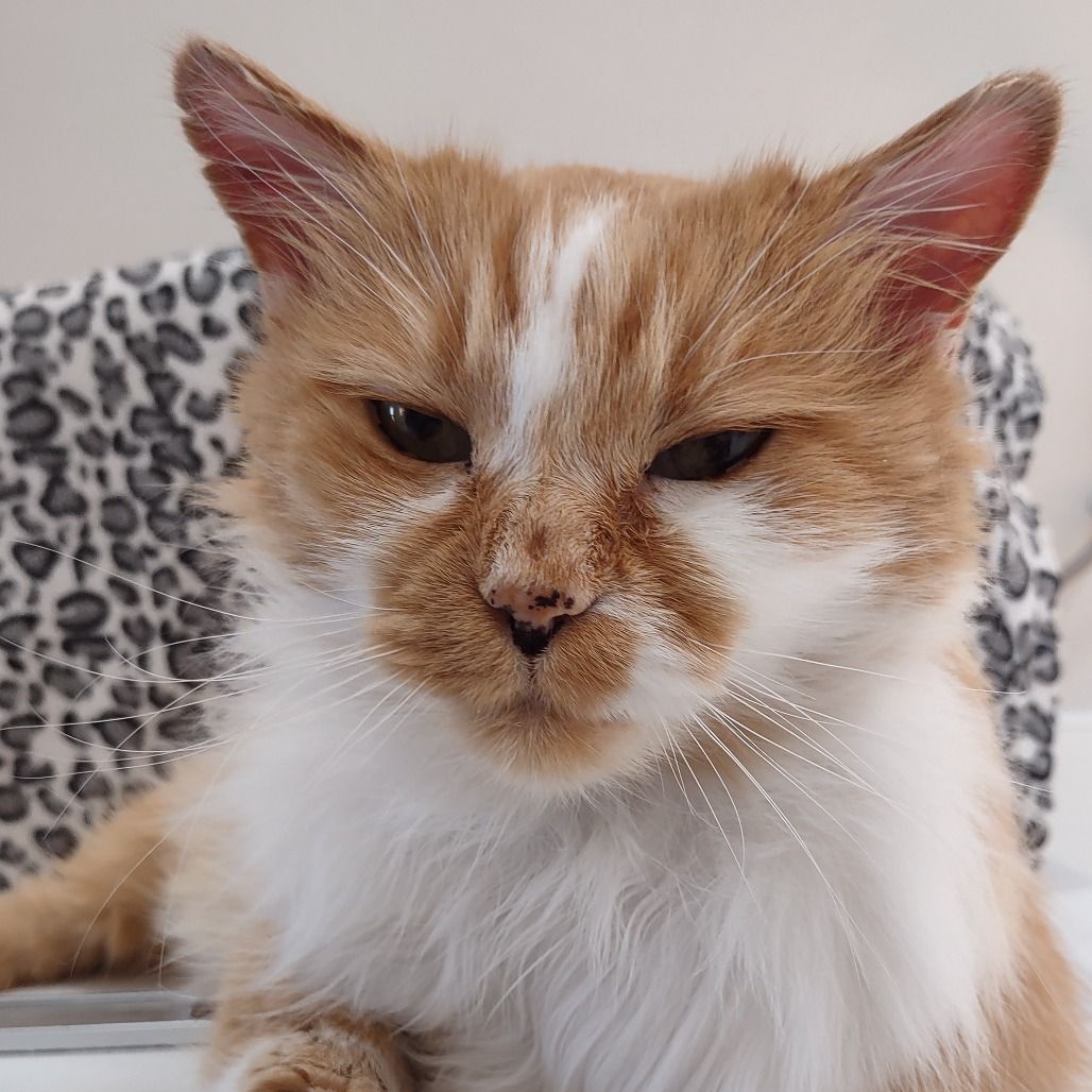 Hello my name is Cedric